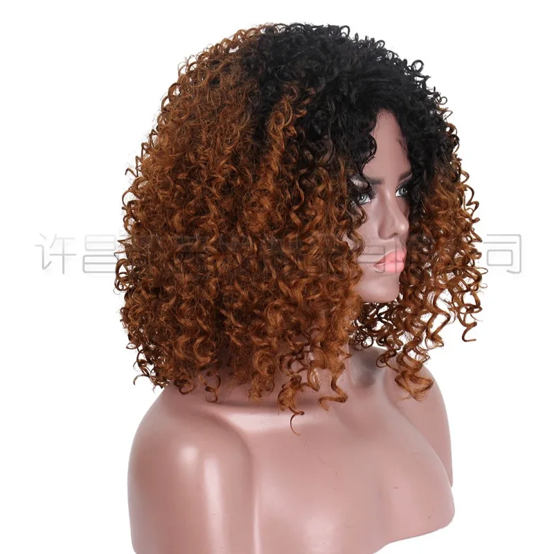 Внешнеторговый парик для женщин, европейский и американский градиентный короткий кудрявый парик, африканское мелкое кудрявое химическое волокно2