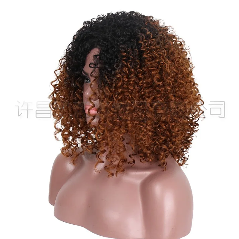 Внешнеторговый парик для женщин, европейский и американский градиентный короткий кудрявый парик, африканское мелкое кудрявое химическое волокно3