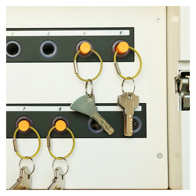 Интеллектуальный шкаф для хранения ключей с контролем отпечатков пальцев, поставляемый Китайским поставщиком3