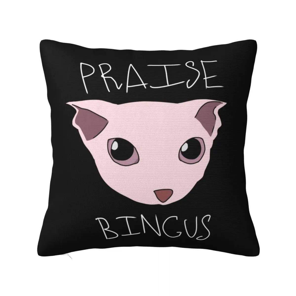 Квадратные наволочки Praise Bingus, чехол для диванной подушки с котом Сфинксом, классная наволочка 40 *400