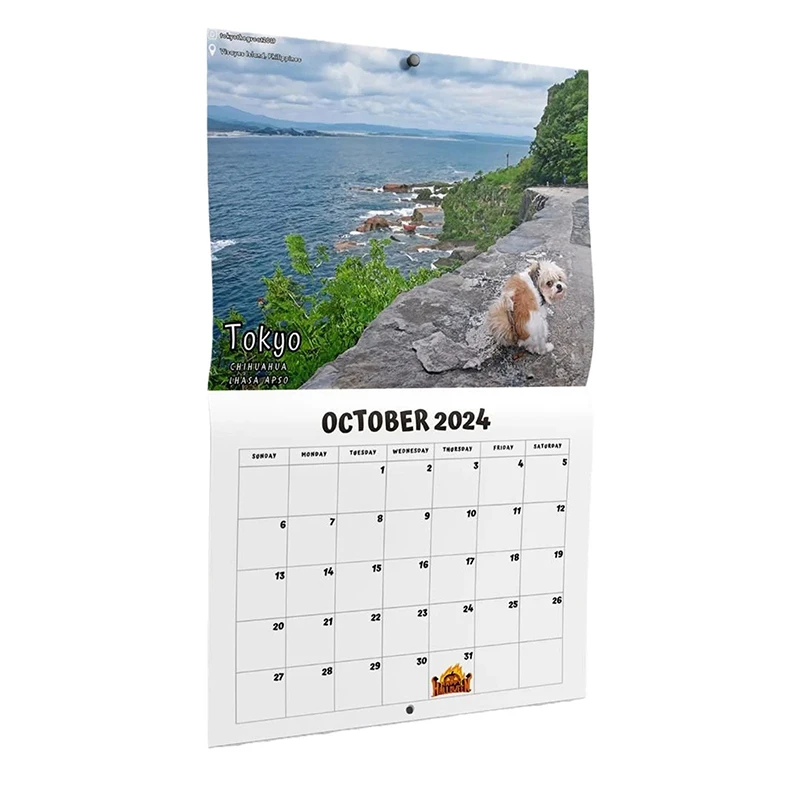 Настенный календарь на 2024 год Ежемесячный настенный календарь на 2024 год, какающая собака, подвесной декоративный забавный календарь для дома, столовой в отеле, общежитии.4