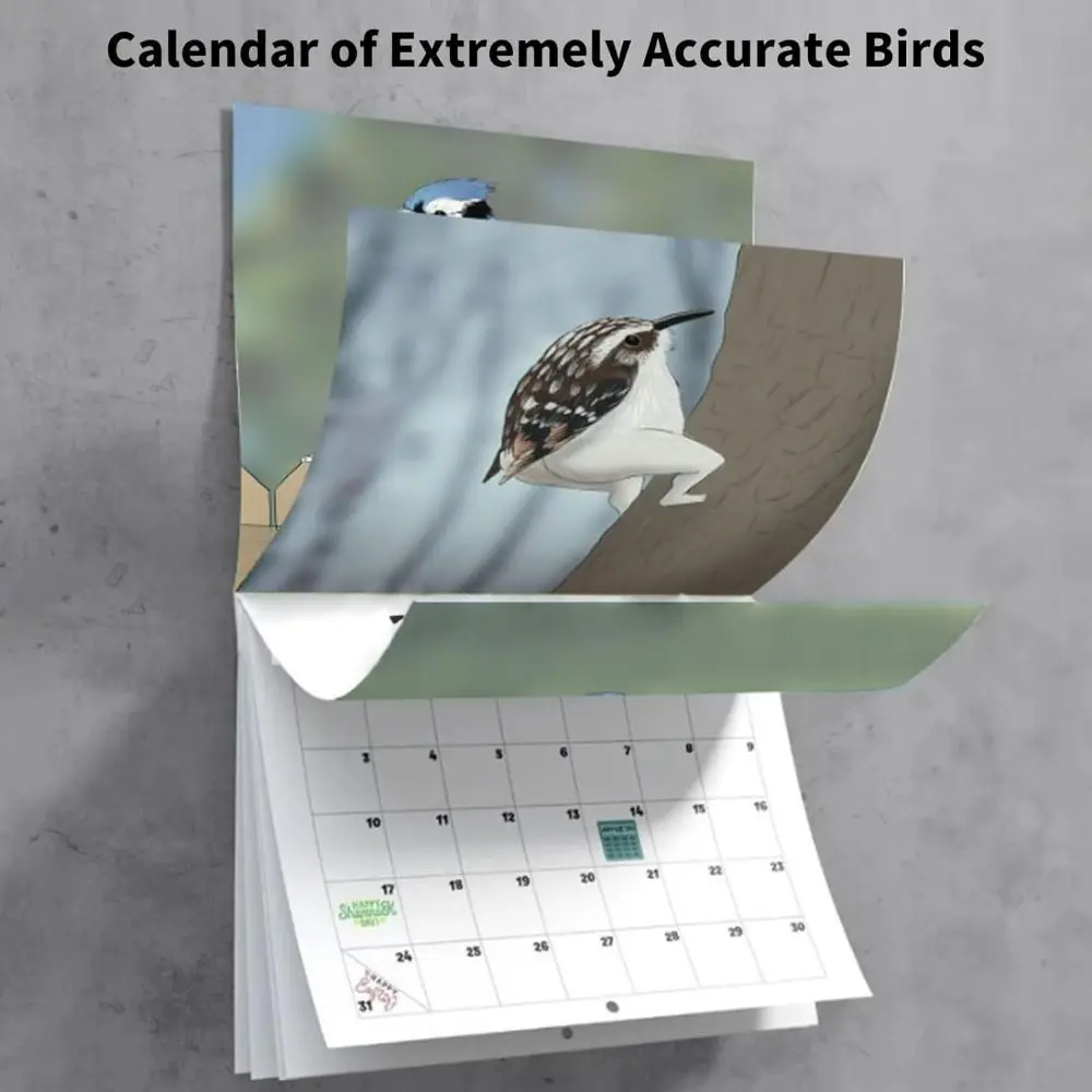 Новогодние подарки Чрезвычайно точные птицы Настенный календарь Бумажный настенный календарь Календарь на 2024 год Планирование времени Долгосрочное планирование0