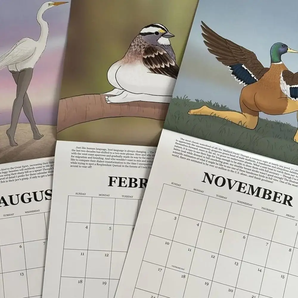 Новогодние подарки Чрезвычайно точные птицы Настенный календарь Бумажный настенный календарь Календарь на 2024 год Планирование времени Долгосрочное планирование1