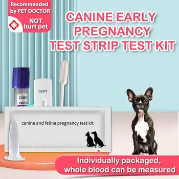 Карточка для теста на беременность Собаки, Карточка для теста на беременность Собаки, Тест для домашних животных, Аксессуары для беременных, Палочка для беременных Y2y6