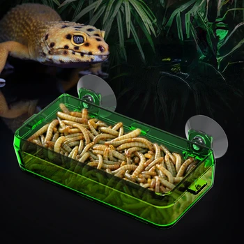 Прозрачная кормушка для рептилий, миска для корма с защитой от побега, контейнер для живых червей с прочными присосками, товары для домашних животных